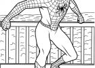 Coloriage Spiderman A Imprimer Beau Image Spiderman 4 Super Héros – Coloriages à Imprimer