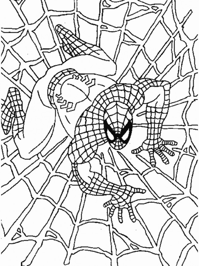 Coloriage Spiderman A Imprimer Beau Stock Coloriage Spiderman Couleur Dessin Gratuit à Imprimer