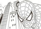 Coloriage Spiderman à Imprimer Cool Image Coloriage Spiderman Spiderman à Imprimer Gratuit