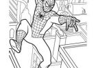 Coloriage Spiderman à Imprimer Cool Images Coloriage Spiderman A Imprimer