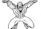 Coloriage Spiderman à Imprimer Impressionnant Collection Coloriage204 Coloriage Spiderman En Ligne Gratuit