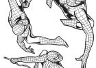 Coloriage Spiderman à Imprimer Inspirant Galerie Coloriage A Imprimer Spiderman Dans Plusieurs Postures