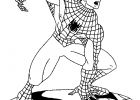 Coloriage Spiderman à Imprimer Luxe Images Coloriage A Imprimer Spiderman Blason Gratuit Et Colorier
