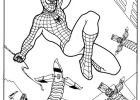 Coloriage Spiderman Homecoming Impressionnant Image 167 Dessins De Coloriage Spiderman à Imprimer Sur