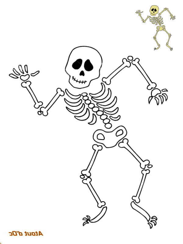 Coloriage Squelette Unique Stock atout Halloween Coloriages Squelettes