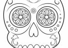 Coloriage Tete De Mort Pirate Unique Stock Dessins De Tete De Mort à Colorier 【 Coloriage Gratuit