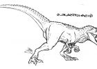Coloriage Trex Luxe Galerie Giganotosaurus Line by Saurian Sketcher On Deviantart