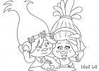 Coloriage Trolls à Imprimer Cool Photographie Coloriage Dj Suki Et Princesse Poppy