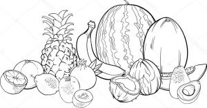 Coloriage Tropical Beau Photos Illustration De Fruits Tropicaux Pour Cahier De Coloriage