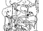 Coloriage Tropical Luxe Galerie Millie Marotta Tropical Wonderland Inspiration Coloriage