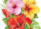 Coloriage Tropical Unique Collection Bouquet De Fleurs Tropicales Fleurs Pinterest