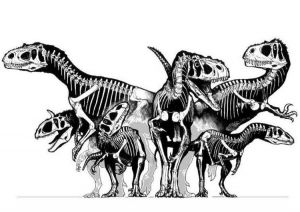 Coloriage Velociraptor Bestof Stock Coloriage Dinosaure Les Beaux Dessins De Animaux à