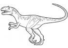 Coloriage Velociraptor Inspirant Images Cantinho Da Ana Projeto Dinossauros Ii