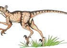 Coloriage Velociraptor Luxe Stock Frais Image De Dinosaure A Imprimer En Couleur