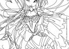 Coloriage Winx Bloom Beau Photographie Coloriages Bloom Transformation Bloomix Fr Hellokids