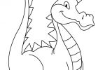 Coloriages Dragons Nouveau Images 143 Dessins De Coloriage Dragon à Imprimer