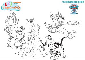 Coloriages Paw Patrol Cool Stock 1 2 3 Coloriage