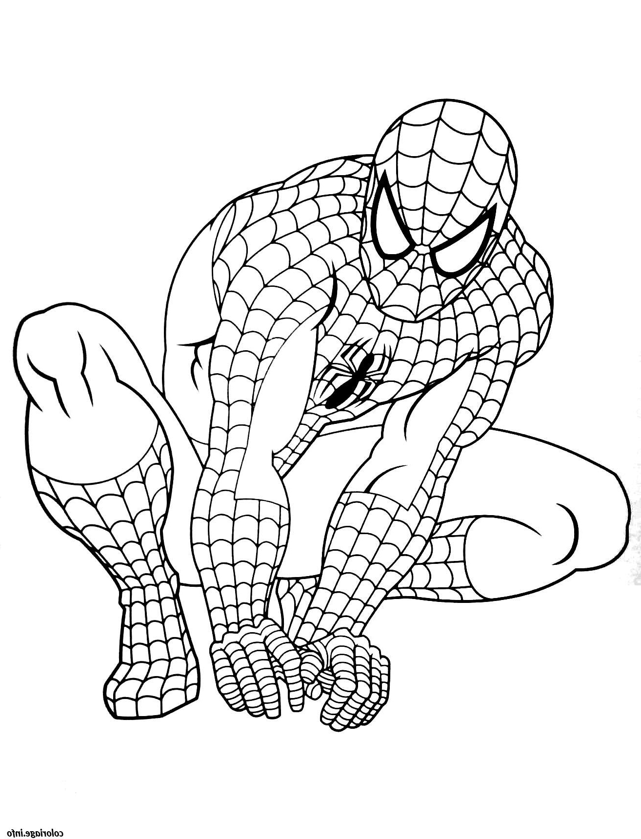 Coloriages Spiderman Luxe Images Coloriage Spiderman 9 Jecolorie