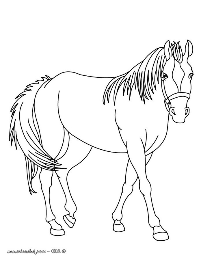 Dessin A Colorier Cheval Cool Galerie Coloriages Cheval D In N Fr Hellokids