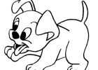 Dessin A Colorier Chien Élégant Image Coloriage De Chien De Neige