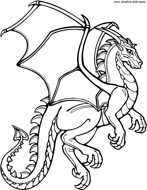 Dessin A Colorier Dragon Impressionnant Image 143 Dessins De Coloriage Dragon à Imprimer