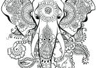 Dessin à Colorier Mandala Élégant Photos Coloriage Mandala Animaux 5 A Imprimer Gratuit
