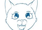 Dessin A Dessiner Élégant Photographie Dessin Lapin Simple Mexicaindessin Download Avec Dessin