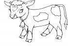 Dessin A Imprime Luxe Galerie Coloriage Veau Et Dessin à Imprimer