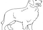 Dessin A Imprimer De Chien Luxe Collection Coloriage Chien