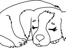 Dessin A Imprimer De Chien Luxe Collection Coloriage Chien