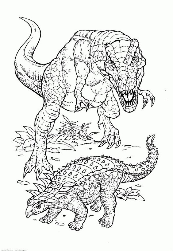 Dessin A Imprimer Dinosaure Bestof Stock Coloriage Dinosaure—coloriage A Imprimer