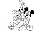 Dessin A Imprimer Mickey Impressionnant Stock Coloriage Mickey Donald Dessin
