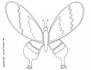 Dessin à Imprimer Papillon Inspirant Collection Vol De Papillon Coloriages De Papillons