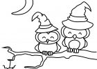 Dessin à Imprimer Vaiana Bestof Photographie Monde Des Petits Coloriages à Imprimer
