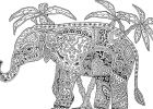 Dessin Animaux Difficile Élégant Photos 59 Dessins De Coloriage Difficile à Imprimer Sur Laguerche