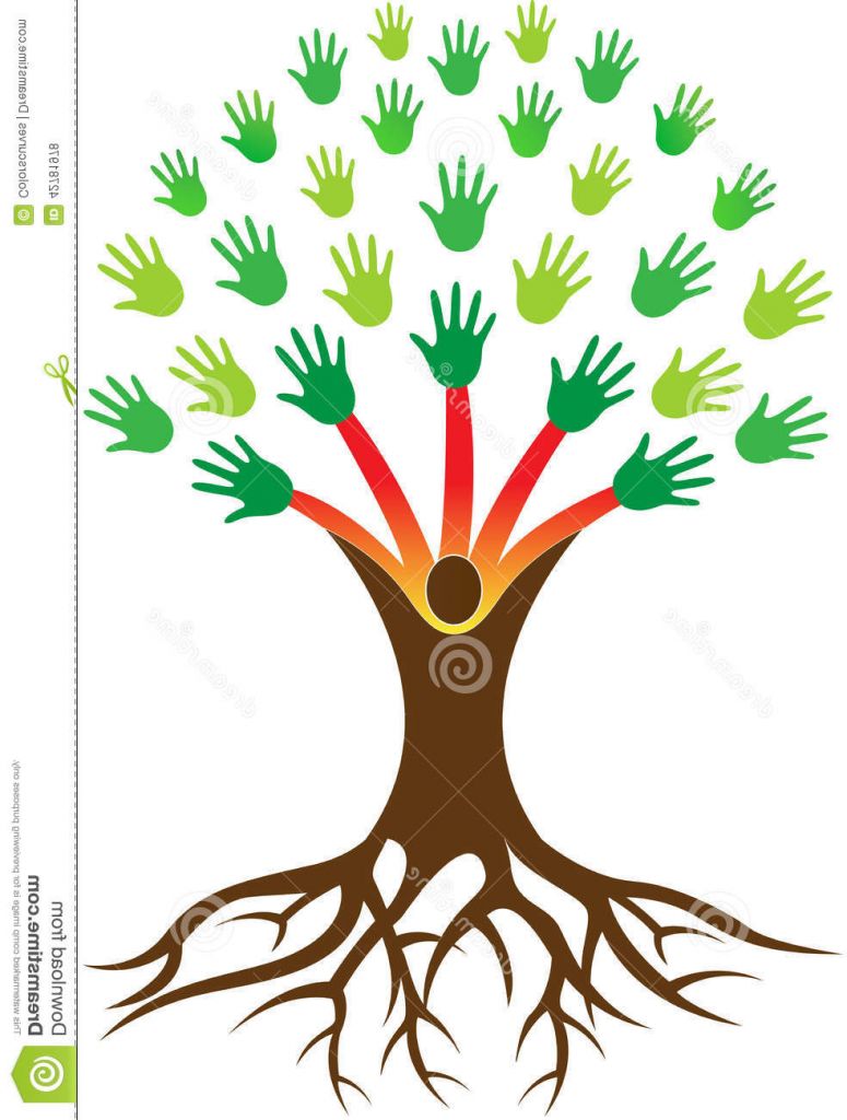 Dessin Arbre Avec Racines Nouveau Photographie Remet L Arbre Avec La Racine Illustration De