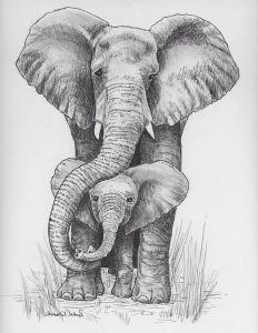 Dessin Bebe Elephant Élégant Images Pen and Ink Drawing Of Mama and Baby Elephant Print
