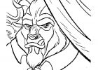 Dessin Belle Et La Bete Impressionnant Collection Coloriage La Belle Et La Bete Les Beaux Dessins De