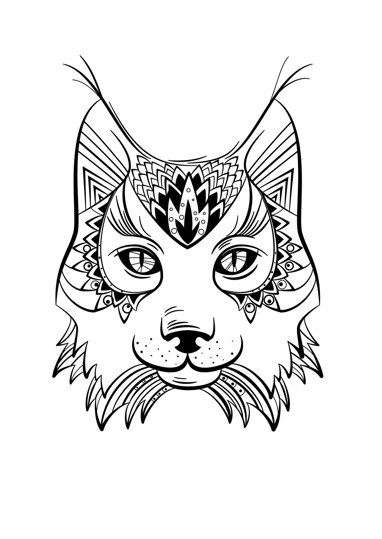 Dessin Chat Mandala Élégant Photos Coloriage Animaux Lynx Coloring