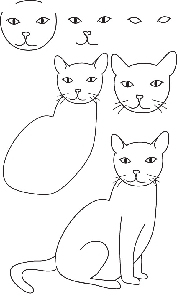 Dessin Chat Simple Beau Photos Dessin Chat