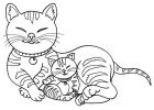 Dessin Chaton Impressionnant Stock Coloriage De Chatons Kitty Projects