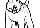 Dessin Chiens Inspirant Stock Coloriage Chien Fox Terrier Hugolescargot