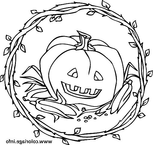 Dessin Citrouille A Imprimer Bestof Images Coloriage Citrouille Halloween Jecolorie