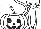 Dessin Citrouille D&amp;#039;halloween Beau Collection Carte De Voeux Avec Halloween Dessin Avec Des Citrouilles