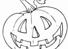 Dessin Citrouille D'halloween Beau Images Citrouille 137 Objets – Coloriages à Imprimer