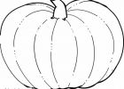 Dessin Citrouille D'halloween Unique Stock Coloriage Dessin Citrouille Halloween Realiste Dessin