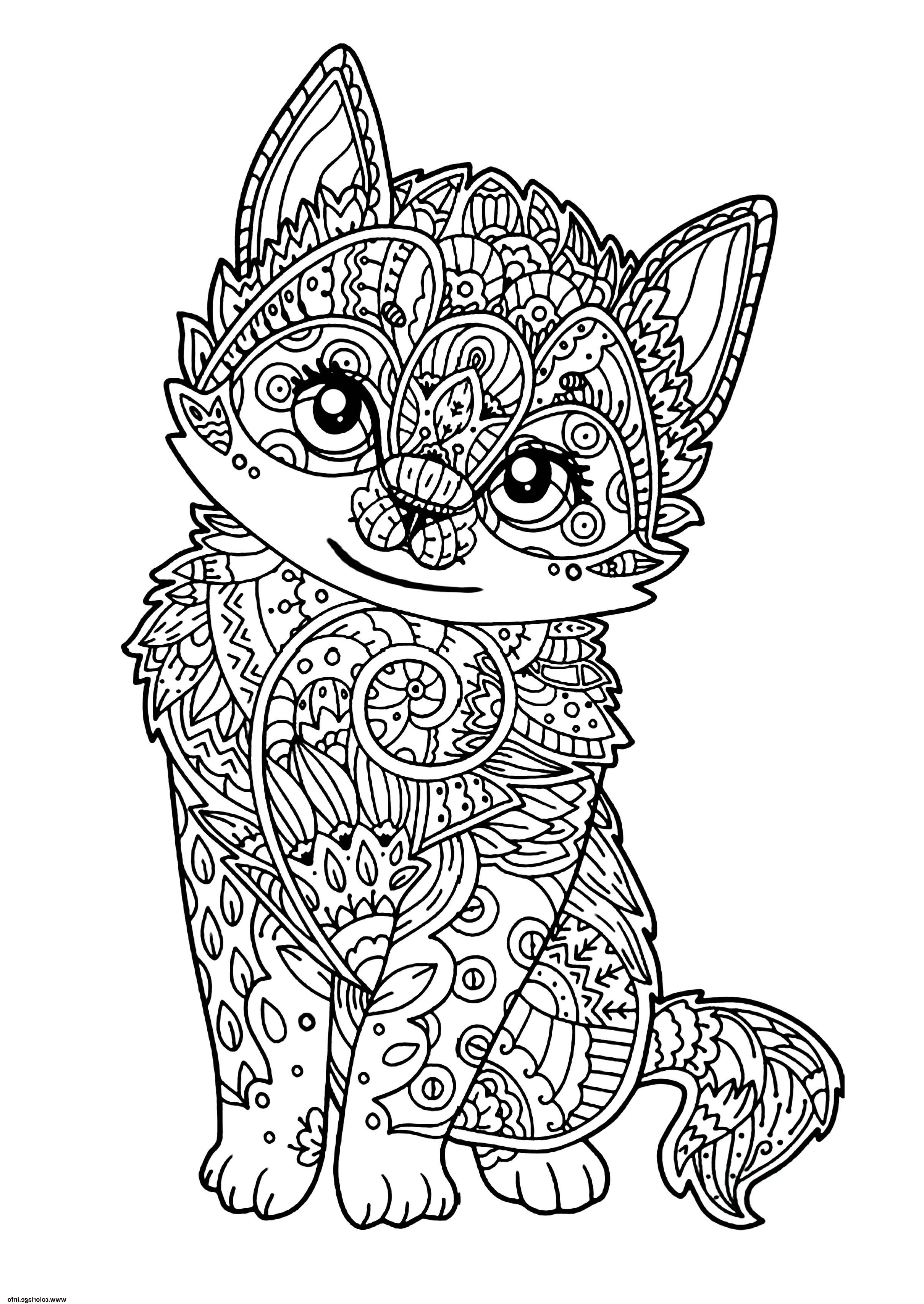 Dessin Coloriage Chat Unique Stock Coloriage Chat Mignon