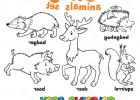 Dessin D&amp;#039;animaux A Imprimer Beau Image 26 Dessins De Coloriage forêt À Imprimer Sur Laguerche