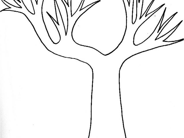Dessin D&amp;#039;arbre Sans Feuille Luxe Photos D Arbre A Imprimer Ohbqfo