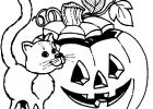 Dessin D'halloween A Colorier Élégant Stock Imprime Le Dessin à Colorier De Halloween